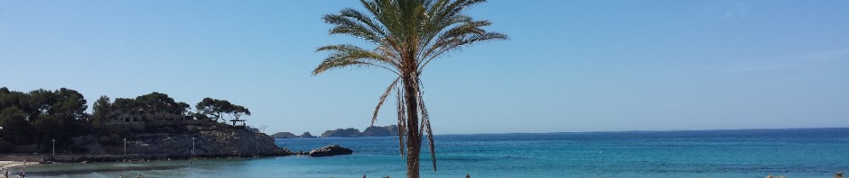 Mallorca …. immer wieder wunderschön!