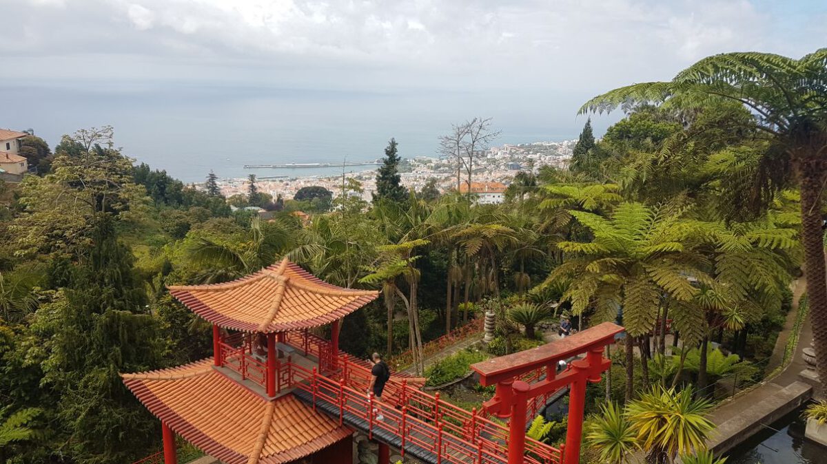 So schön ist Madeira #3: Monte Palace Madeira Tropical Garden